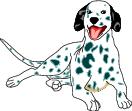 Go to Dalmations