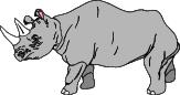 Go to Rhinoceros