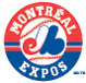 Go to Expos